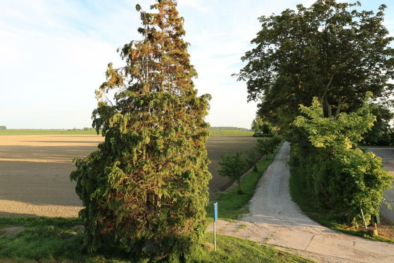 Apartament Waegen Uus Wolphaartsdijk Zewnętrze zdjęcie